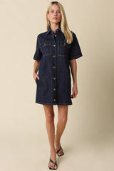 Demi Denim Shirt Dress