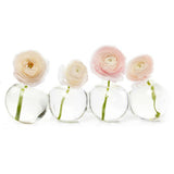 Caterpillar Clear Glass Bud Vase Large