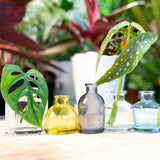 Transparent Bud Vase Square