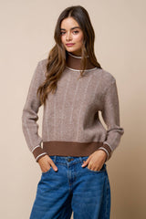 Contrast Trim Turtleneck Knit Sweater: BROWN / L