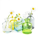 Transparent Bud Vase Square