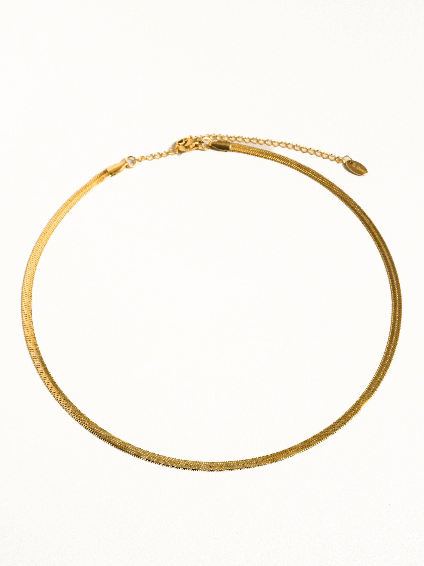 18K Gold Non-Tarnish Flat Snake Chain Necklace & Bracelet: Yellow Gold / Stella Bracelet