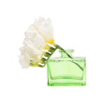 Transparent Bud Vase Square