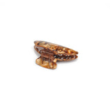 Martina Hair Claw: Black