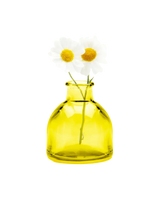 Transparent Bud Vase  Square