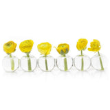 Caterpillar Clear Glass Bud VaseSmall