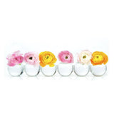 Caterpillar Clear Glass Bud Vase  Large