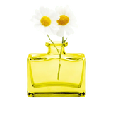 Transparent Bud Vase  Square