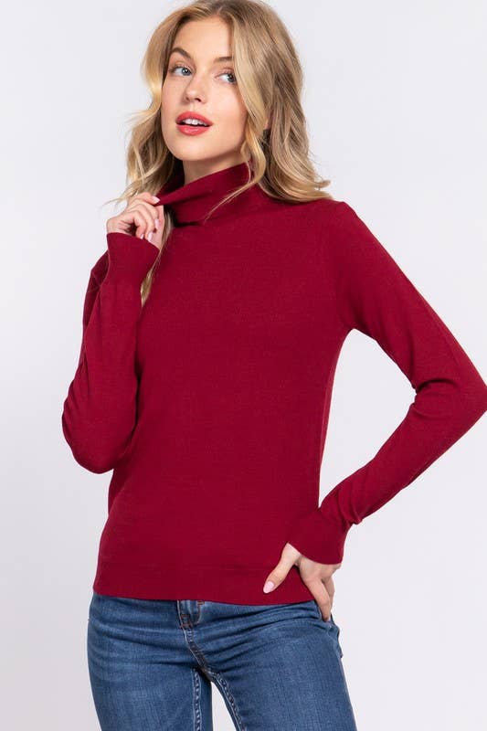 Long Sleeve Turtle Neck Basic Viscose Sweater: