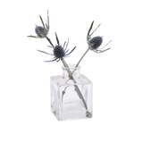 Transparent Bud Vase  Square