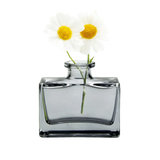 Transparent Bud Vase  Square