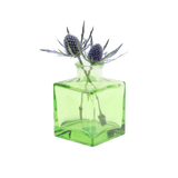Transparent Bud Vase  Square