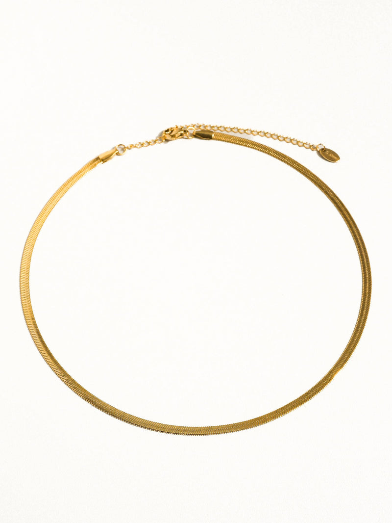 18K Gold Non-Tarnish Flat Snake Chain Necklace & Bracelet: Yellow Gold / Stella Bracelet