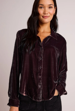 Velvet Long Sleeve Blouse