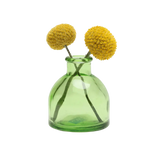 Transparent Bud Vase  Square