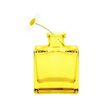 Transparent Bud Vase  Square