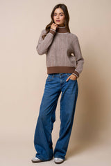 Contrast Trim Turtleneck Knit Sweater: BROWN / L