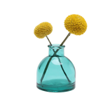 Transparent Bud Vase  Square
